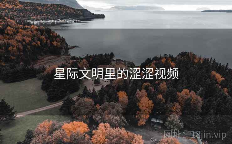 星际文明里的涩涩视频